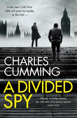 Divided spy - (hardback),
